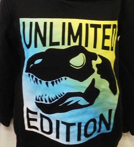 Sweatshirt Gr. 110/116 von dopodopo (818)